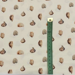 Jersey Baby Seashells digital print